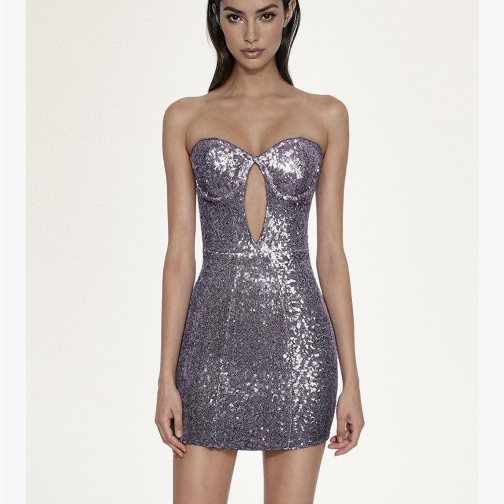 JW PEI Brynlee Sequinned Strapless Bodycon Mini Dress Purple / Silver Size 4 NWT